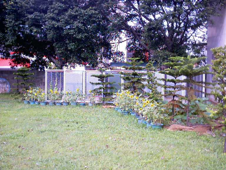 按此在新視窗瀏覽圖片