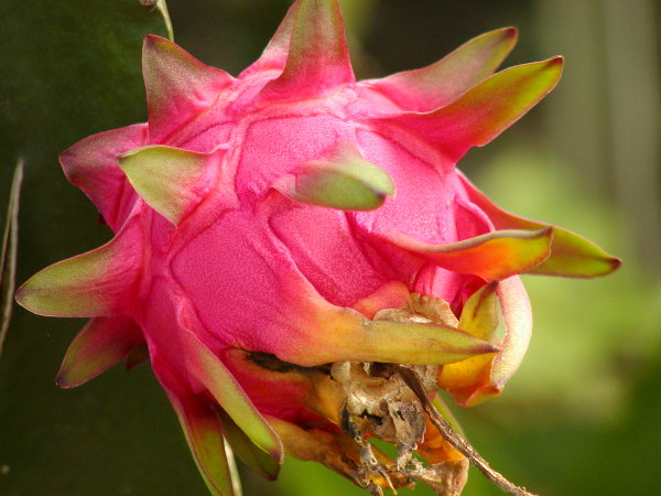 按此在新視窗瀏覽圖片