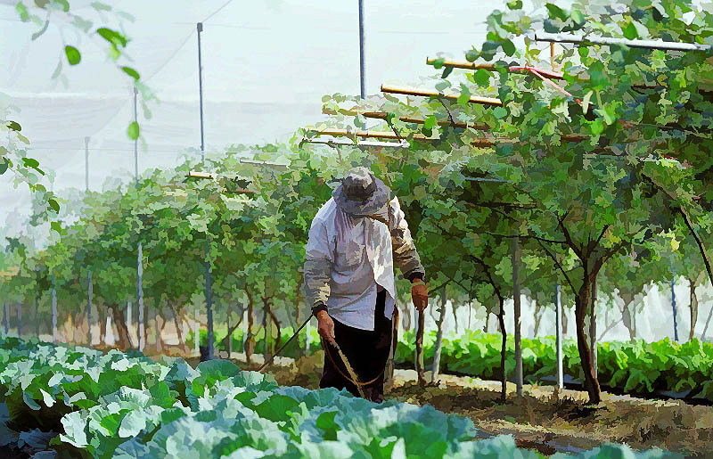 按此在新視窗瀏覽圖片