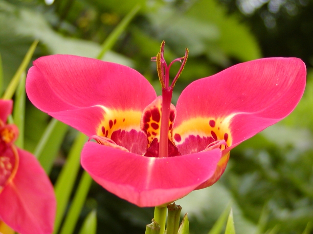 按此在新視窗瀏覽圖片