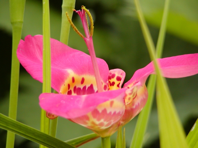 按此在新視窗瀏覽圖片