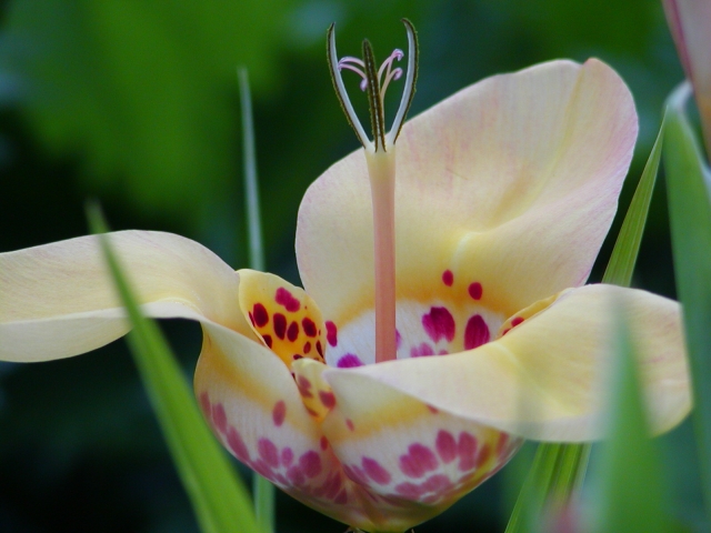 按此在新視窗瀏覽圖片