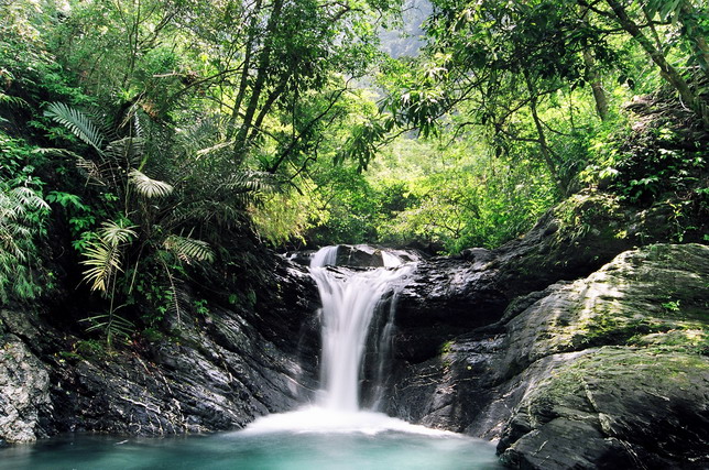 按此在新視窗瀏覽圖片