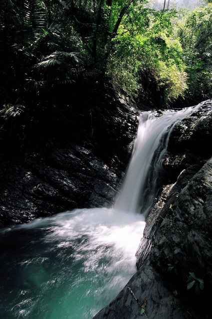 按此在新視窗瀏覽圖片