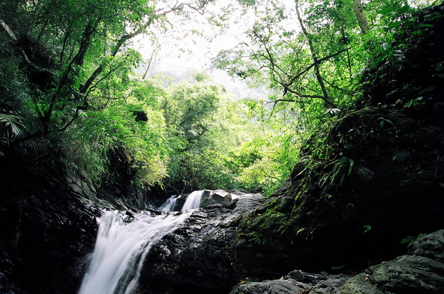 按此在新視窗瀏覽圖片