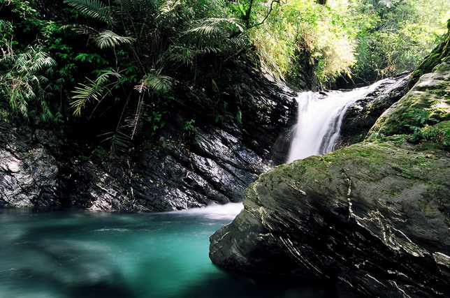 按此在新視窗瀏覽圖片