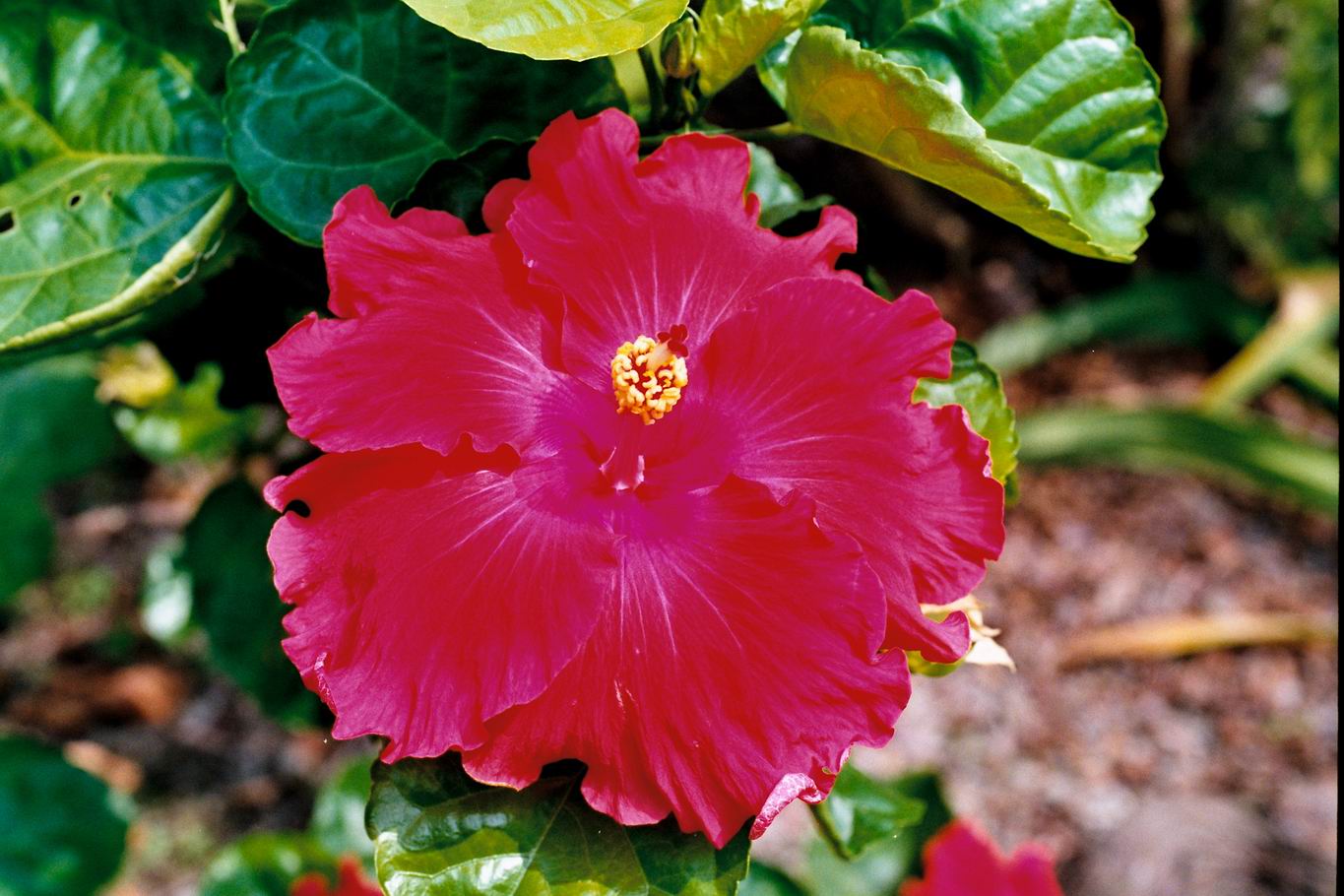 按此在新視窗瀏覽圖片