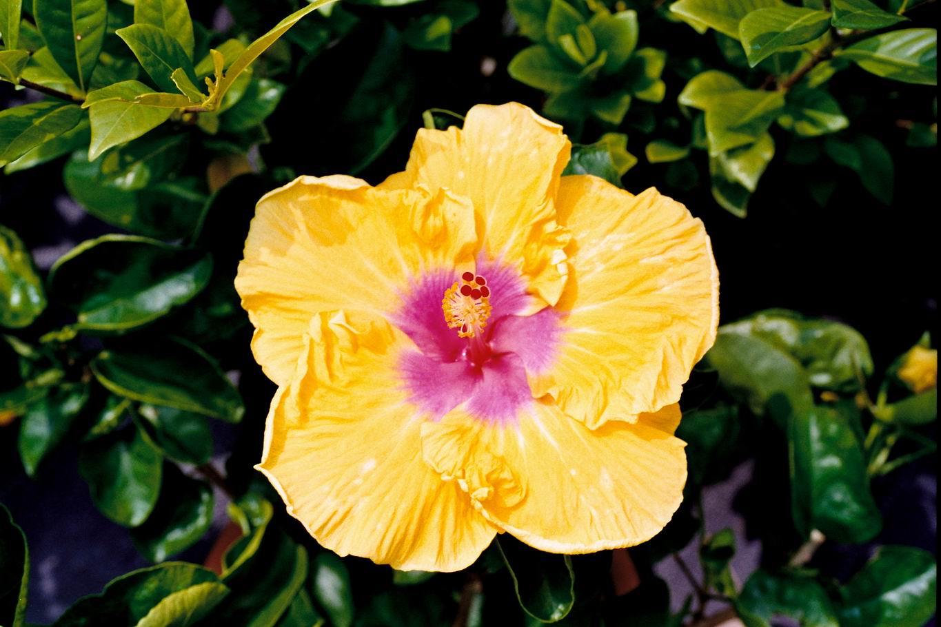 按此在新視窗瀏覽圖片