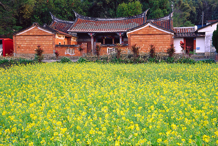 按此在新視窗瀏覽圖片