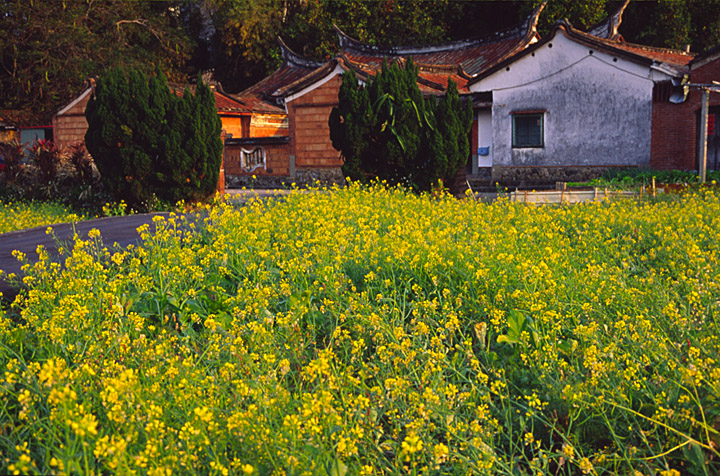 按此在新視窗瀏覽圖片