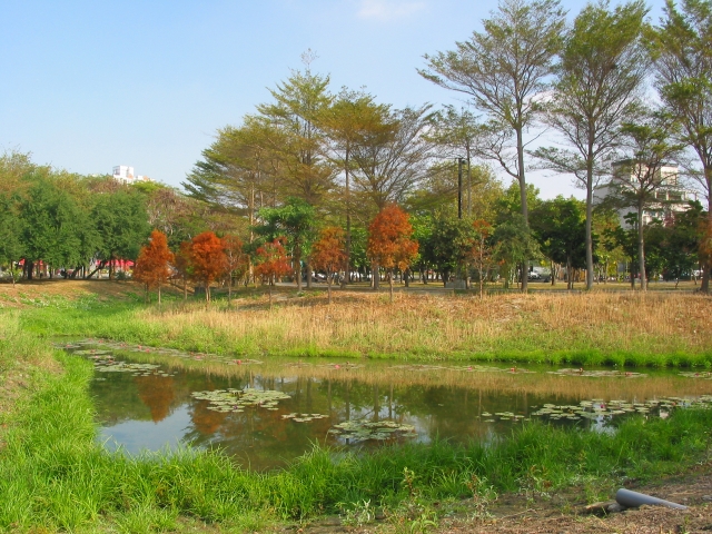 按此在新視窗瀏覽圖片