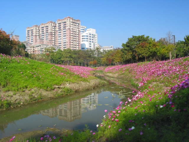 按此在新視窗瀏覽圖片