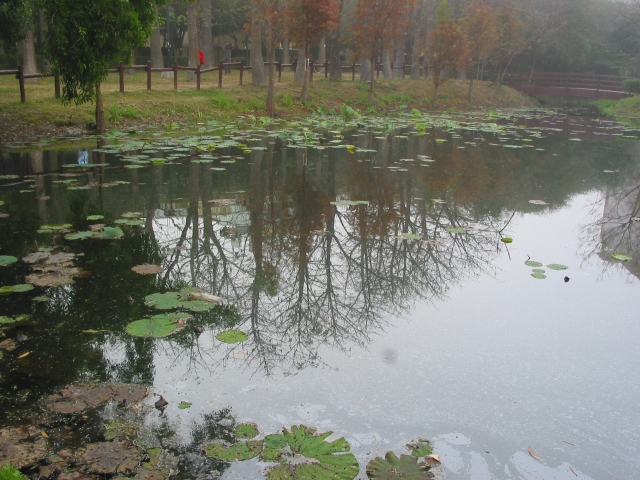 按此在新視窗瀏覽圖片