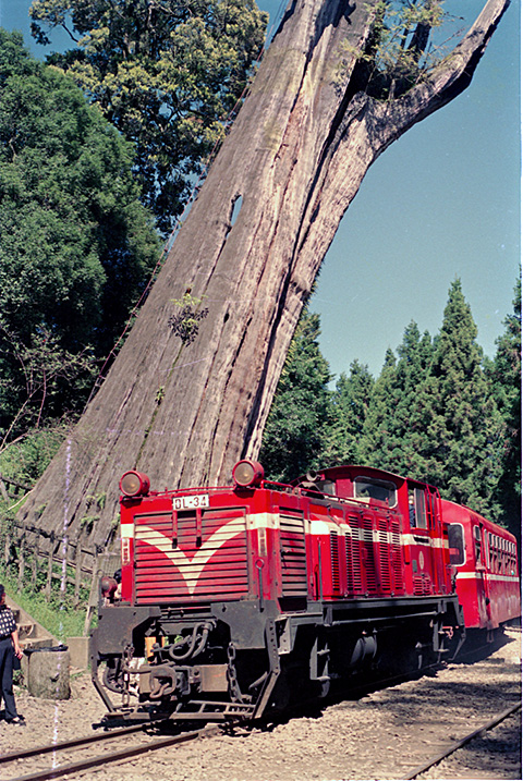 按此在新視窗瀏覽圖片