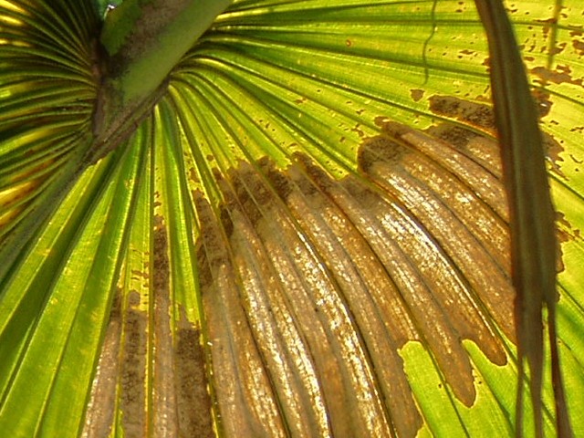 按此在新視窗瀏覽圖片