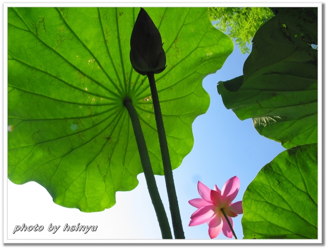 按此在新視窗瀏覽圖片