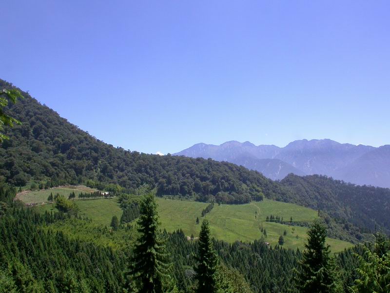 按此在新視窗瀏覽圖片