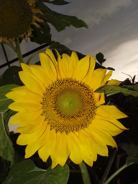 按此在新視窗瀏覽圖片