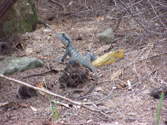 «ö¦¹¦b·sµøµ¡ÂsÄý¹Ï¤ù