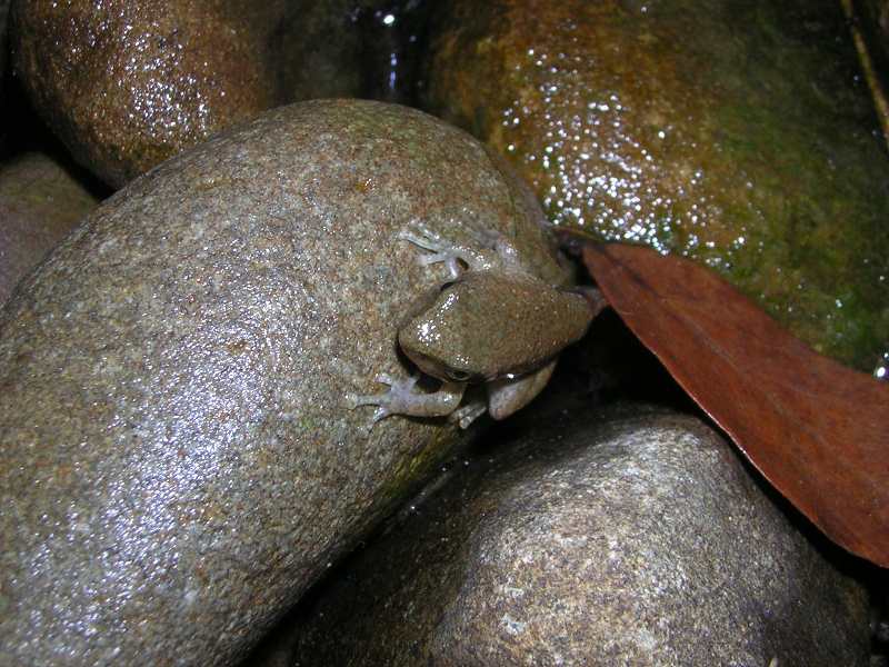 «ö¦¹¦b·sµøµ¡ÂsÄý¹Ï¤ù