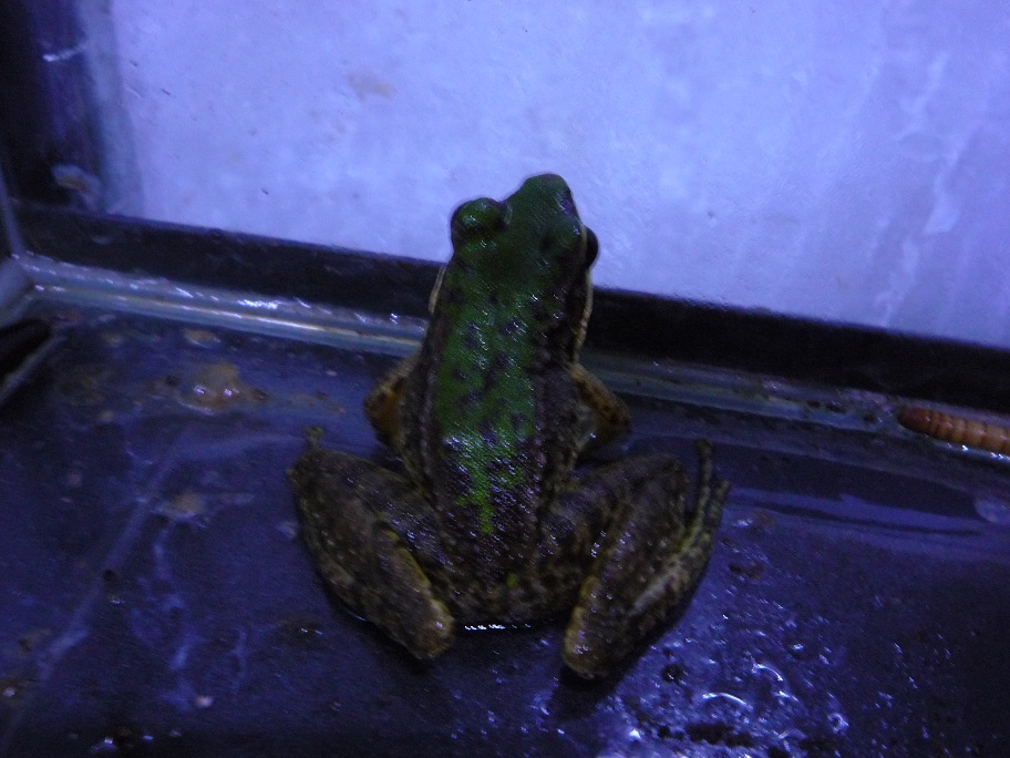 按此在新視窗瀏覽圖片