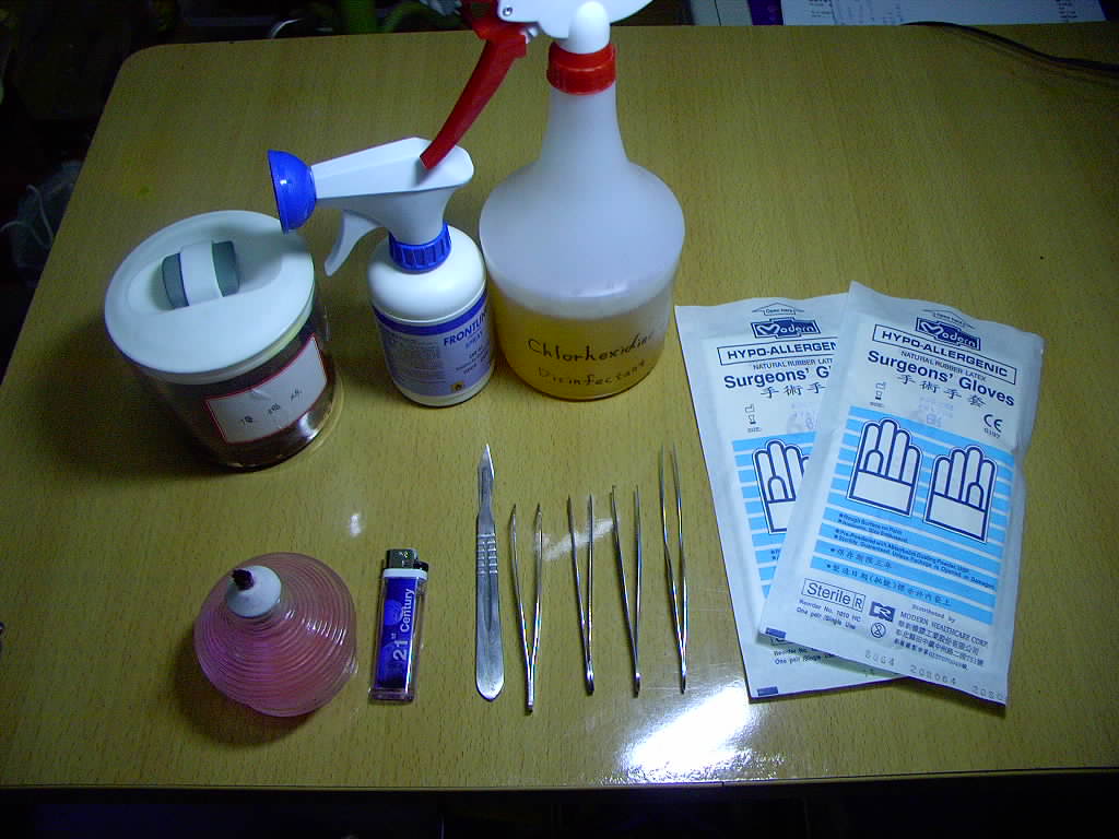 按此在新視窗瀏覽圖片