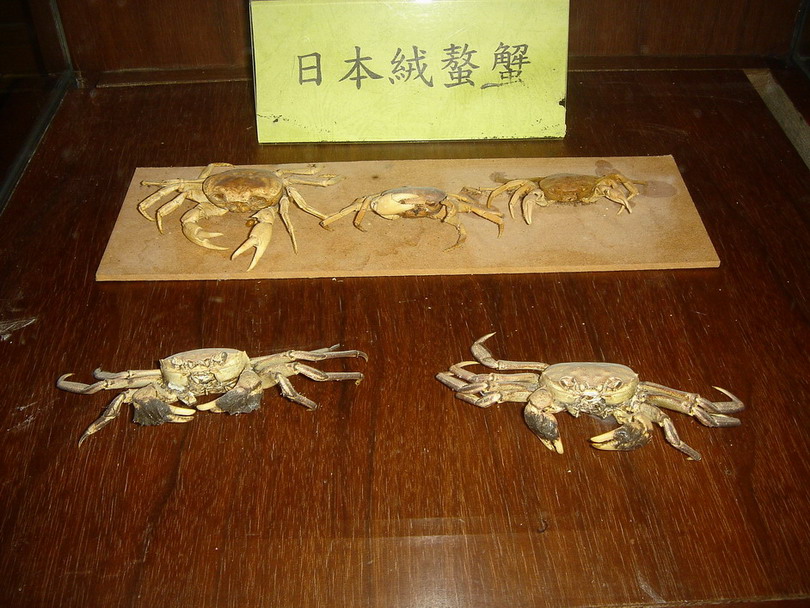 按此在新視窗瀏覽圖片