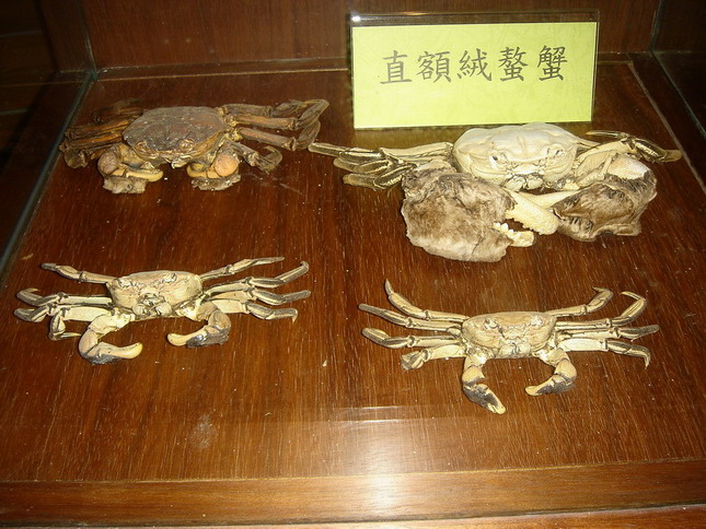 按此在新視窗瀏覽圖片