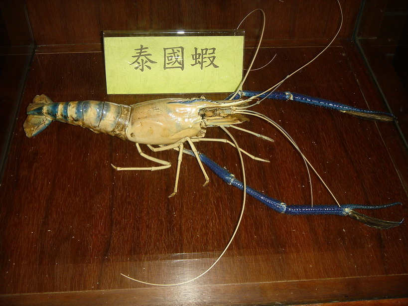 按此在新視窗瀏覽圖片