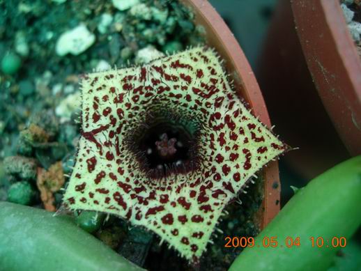 按此在新視窗瀏覽圖片