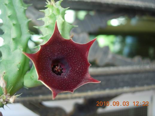 按此在新視窗瀏覽圖片