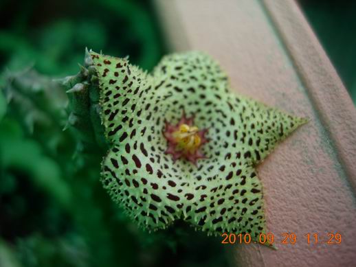 按此在新視窗瀏覽圖片