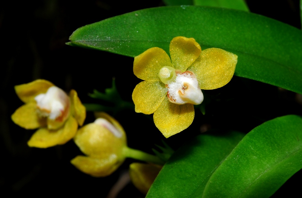 «ö¦¹¦b·sµøµ¡ÂsÄý¹Ï¤ù