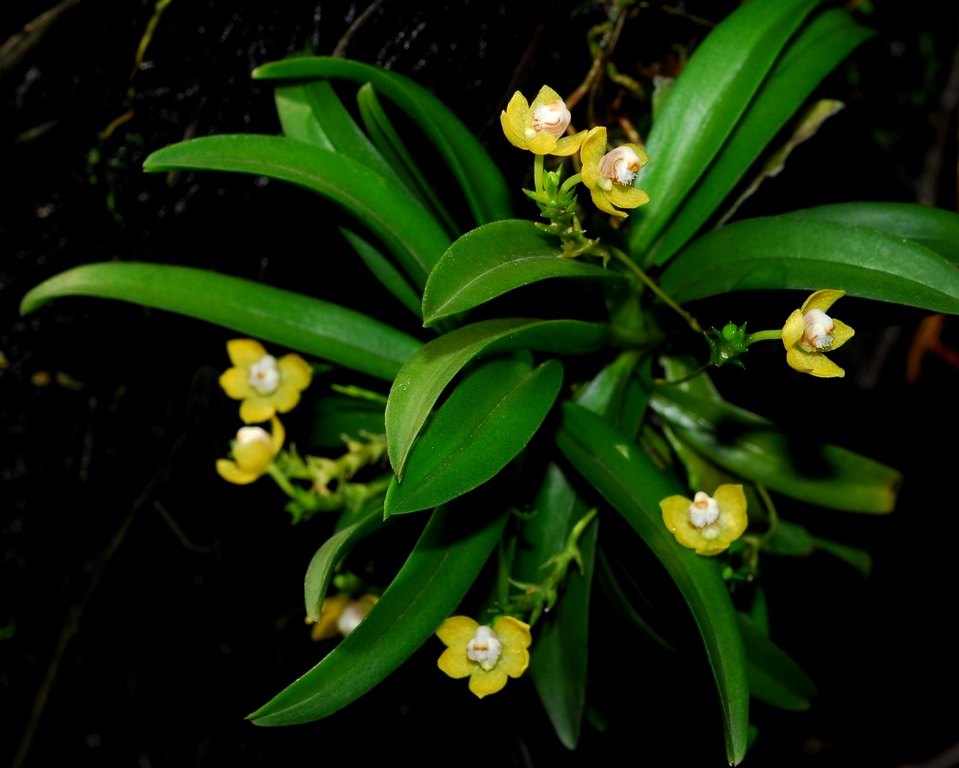 «ö¦¹¦b·sµøµ¡ÂsÄý¹Ï¤ù