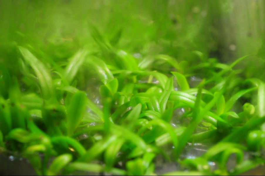 «ö¦¹¦b·sµøµ¡ÂsÄý¹Ï¤ù