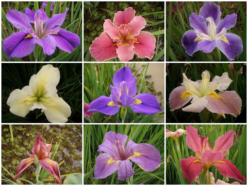 «ö¦¹¦b·sµøµ¡ÂsÄý¹Ï¤ù