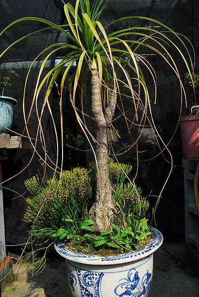 «ö¦¹¦b·sµøµ¡ÂsÄý¹Ï¤ù