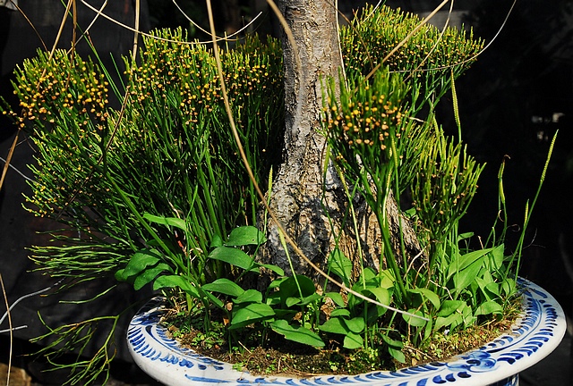 «ö¦¹¦b·sµøµ¡ÂsÄý¹Ï¤ù