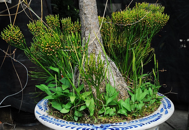 «ö¦¹¦b·sµøµ¡ÂsÄý¹Ï¤ù