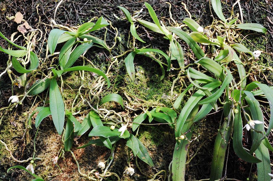 «ö¦¹¦b·sµøµ¡ÂsÄý¹Ï¤ù