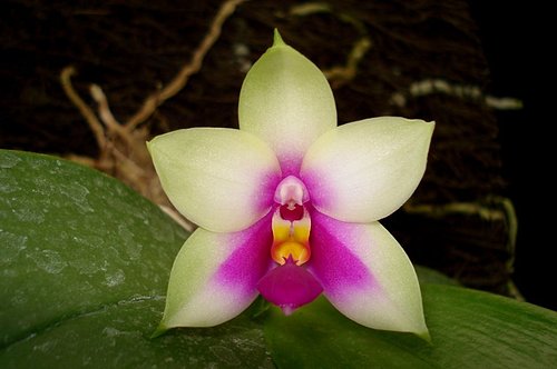 按此在新視窗瀏覽圖片