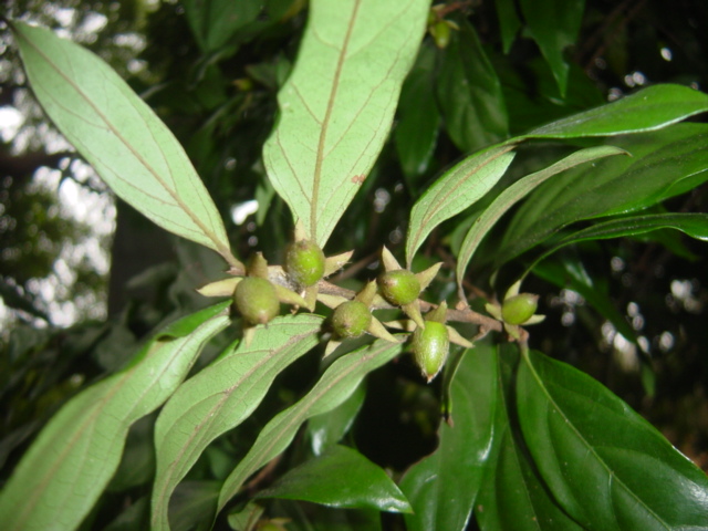 «ö¦¹¦b·sµøµ¡ÂsÄý¹Ï¤ù