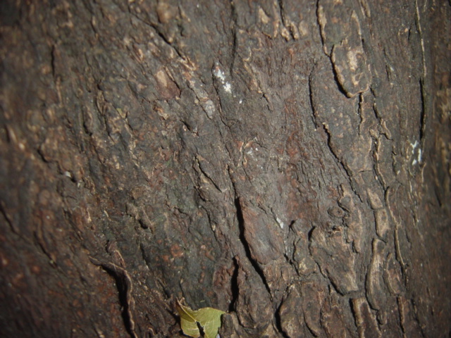 «ö¦¹¦b·sµøµ¡ÂsÄý¹Ï¤ù