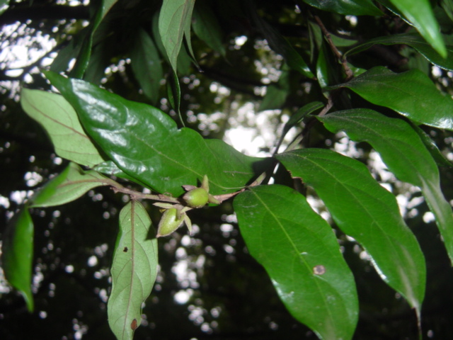 «ö¦¹¦b·sµøµ¡ÂsÄý¹Ï¤ù