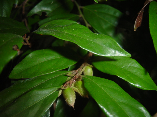 «ö¦¹¦b·sµøµ¡ÂsÄý¹Ï¤ù