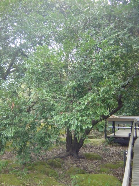 «ö¦¹¦b·sµøµ¡ÂsÄý¹Ï¤ù