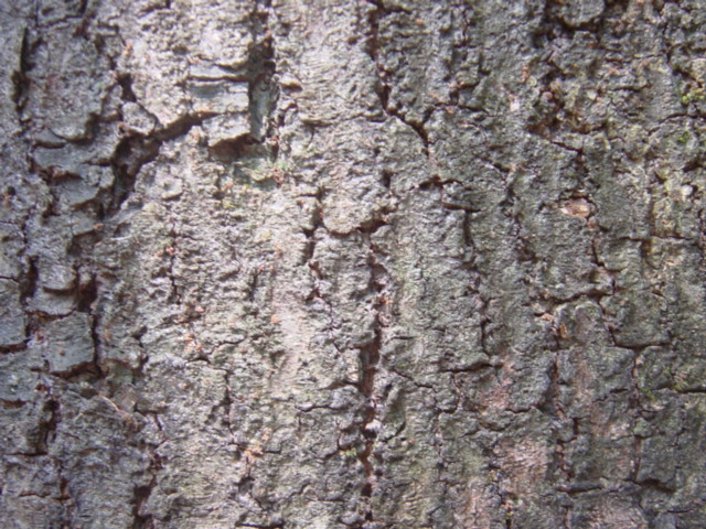 «ö¦¹¦b·sµøµ¡ÂsÄý¹Ï¤ù