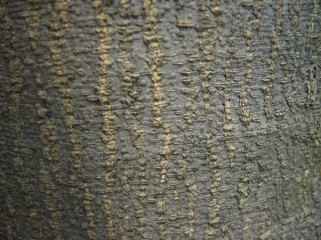 «ö¦¹¦b·sµøµ¡ÂsÄý¹Ï¤ù