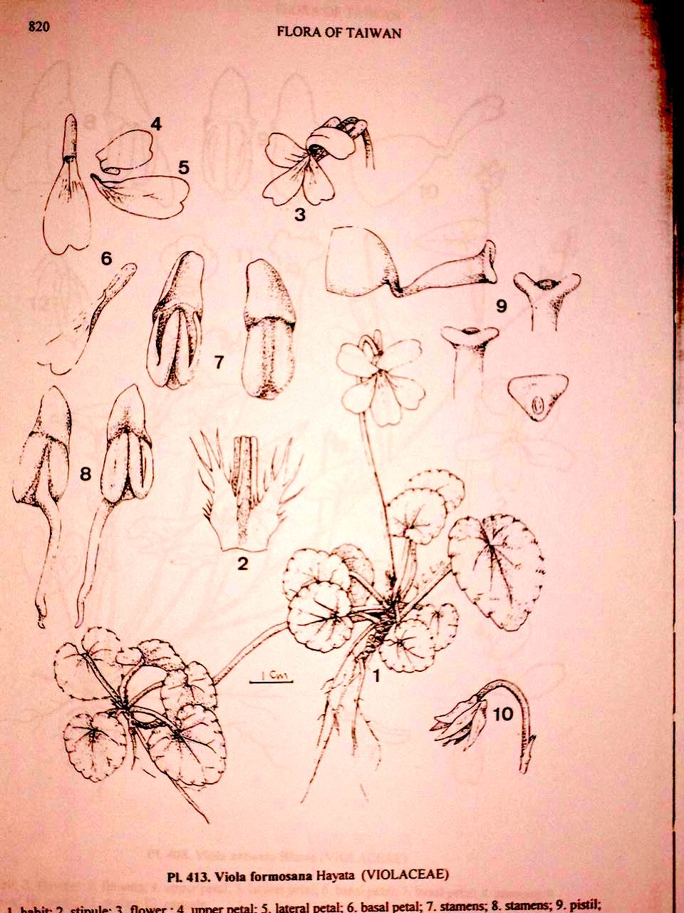 按此在新視窗瀏覽圖片