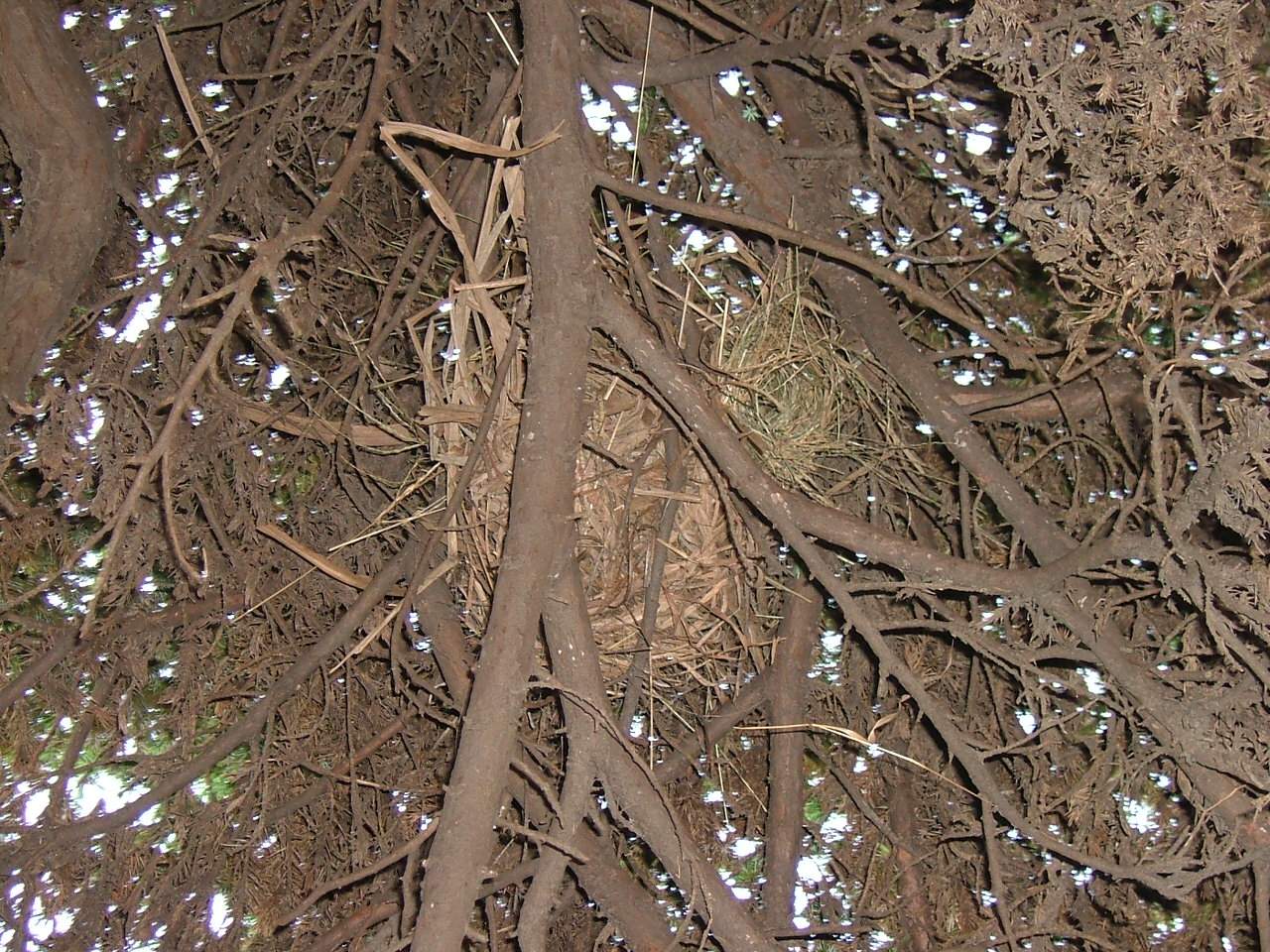 按此在新視窗瀏覽圖片